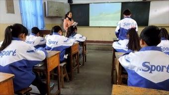 春上课视频,探索春天的奥秘与乐趣