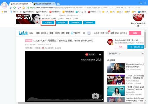 b站下载的视频,揭秘下载视频背后的精彩故事