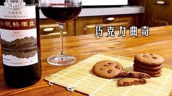 红酒鉴赏视频,跟随视频探索红酒鉴赏的艺术之旅