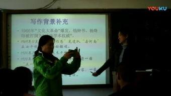 老王课堂实录视频,深度解析教学精髓