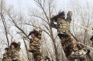 武警应急棍术视频,实战技巧与防御策略解析
